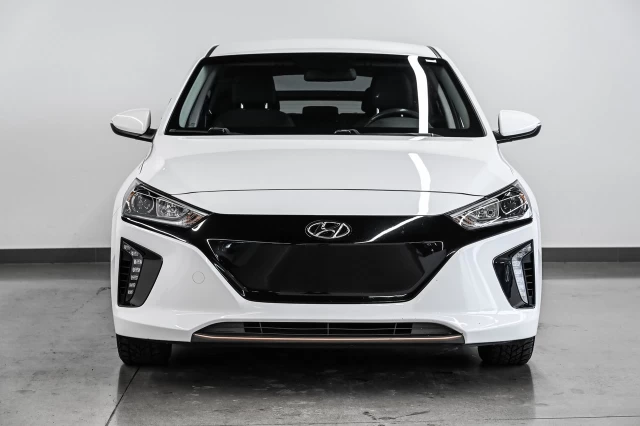 Hyundai IONIQ electric Preferred 2019