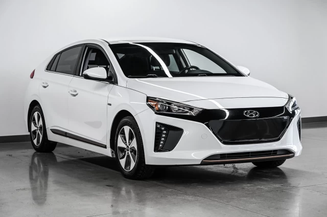 Hyundai IONIQ electric Preferred 2019