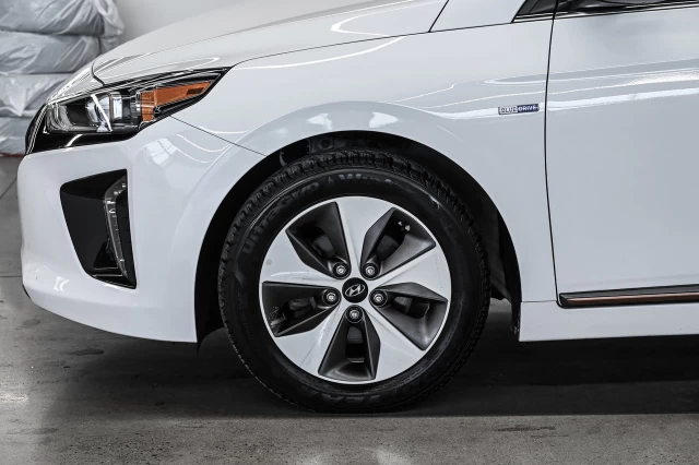 Hyundai IONIQ electric Preferred 2019