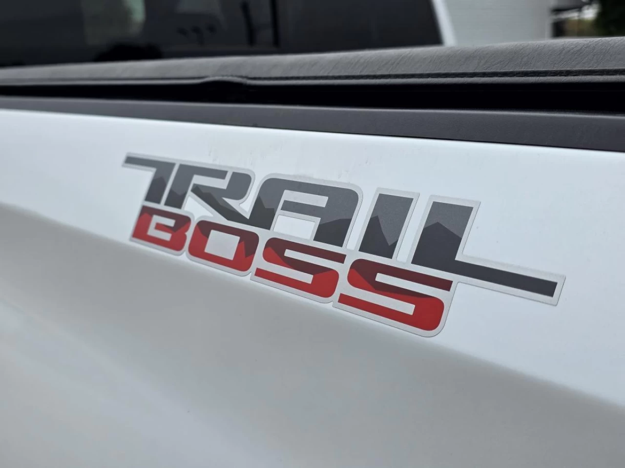 2022 Chevrolet Silverado 1500 Crew Cab Short Box 4-Wheel Drive LT Trail Boss Image principale