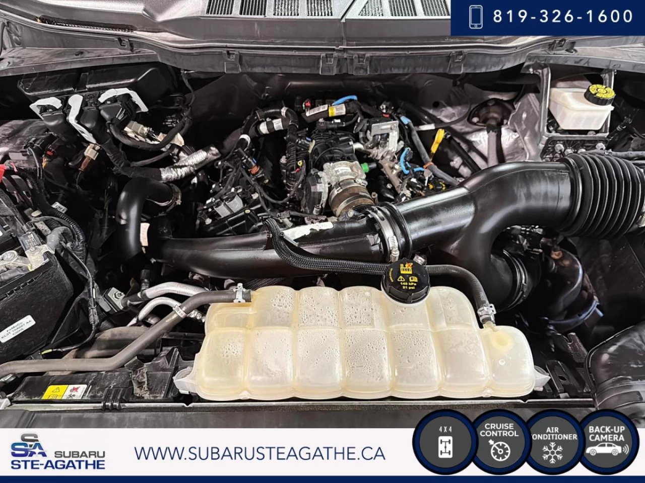 2021 Ford F-150 XL 4WD SuperCrew 5.5' Box Main Image