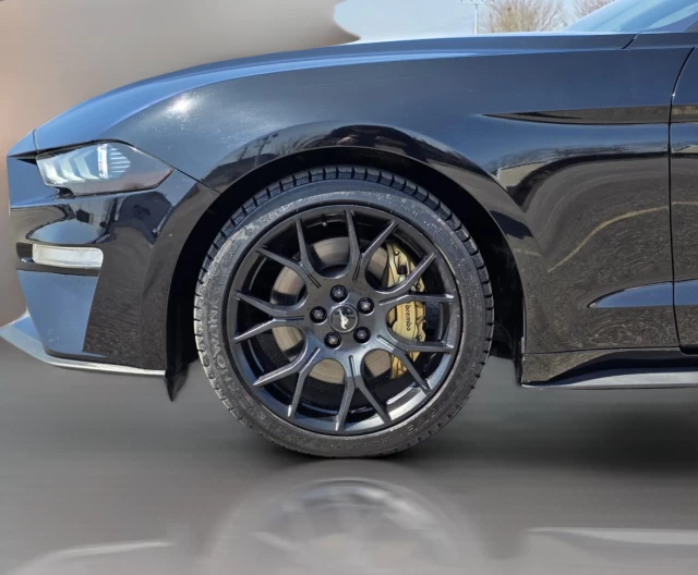 Ford Mustang EcoBoost Fastback 2018