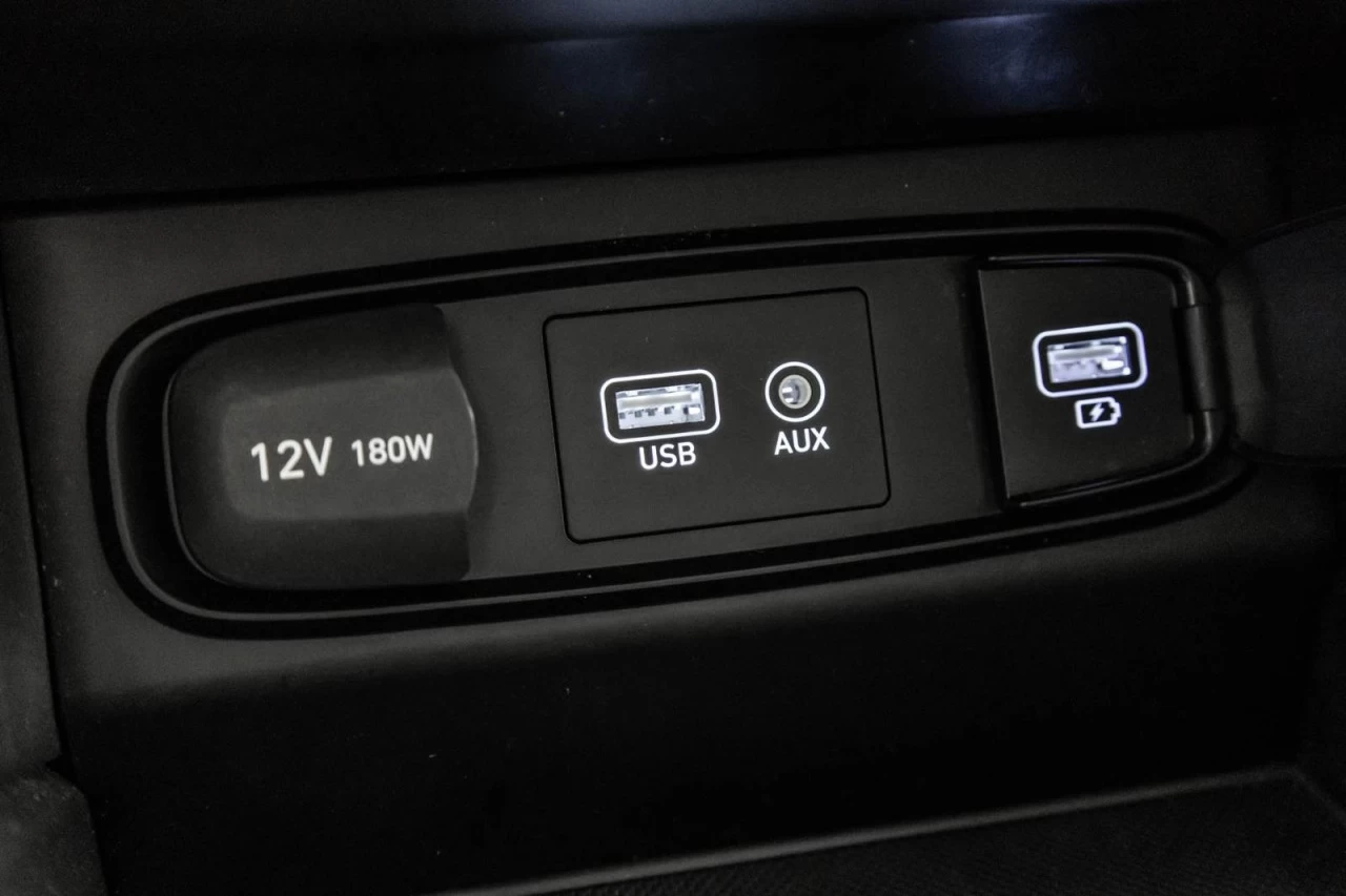 2020 Hyundai Santa Fe 2.0T Luxury AWD+CUIR+TOIT.PANO+VOLANT/SIEGES.CHAUF Main Image