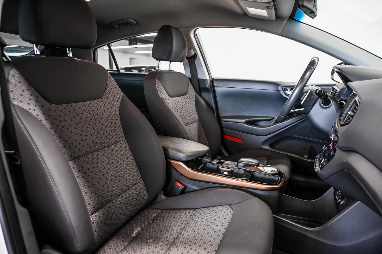 2019 Hyundai IONIQ electric Preferred Main Image