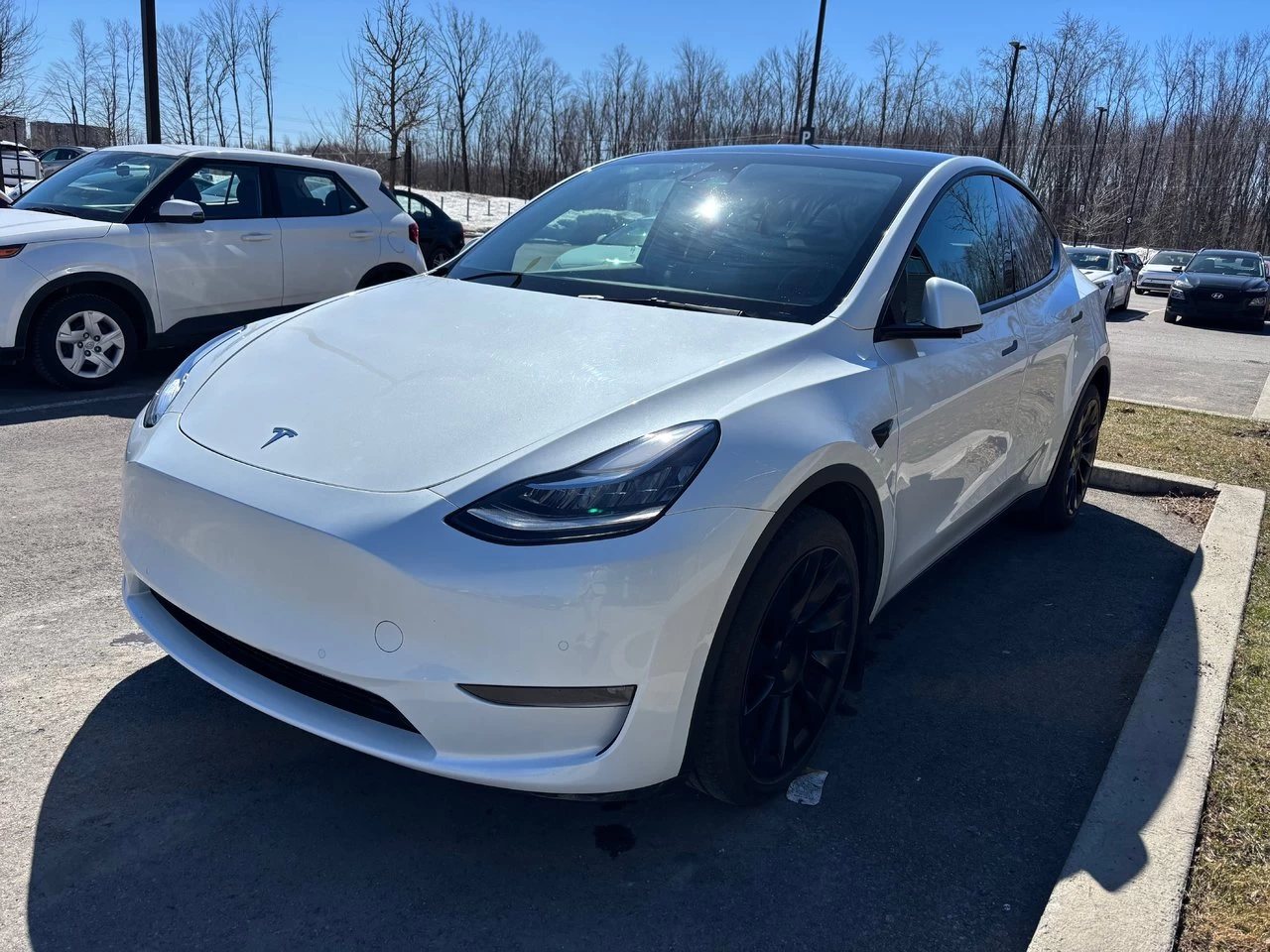 2023 Tesla Model Y Long Range Dual Main Image