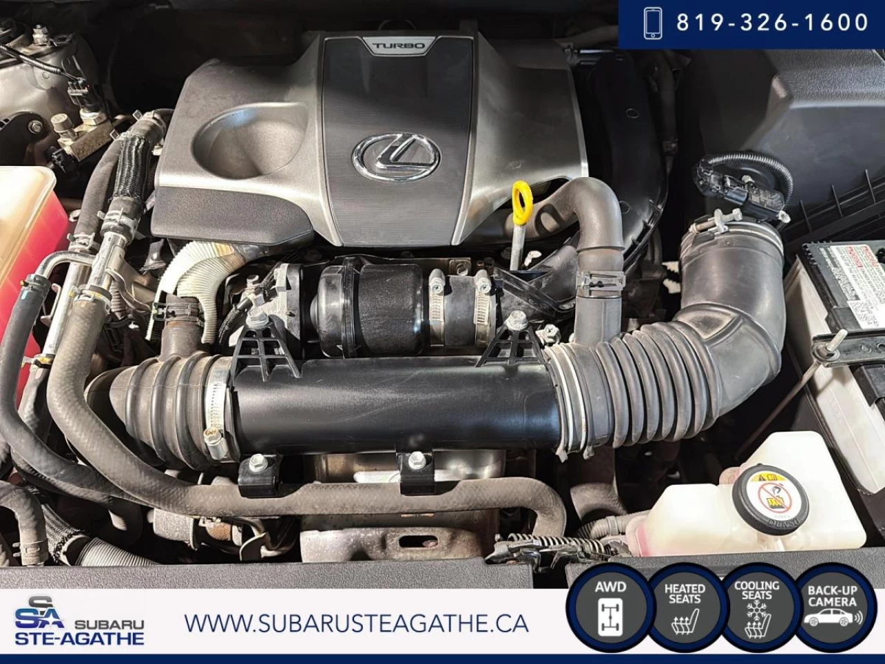 2020 Lexus NX 300 NX 300 AWD (COMPELETE MAINTENANCE HISTORY) Image principale