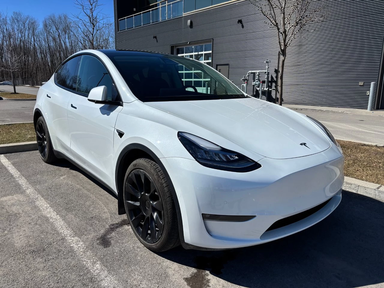 2023 Tesla Model Y Long Range Dual Main Image
