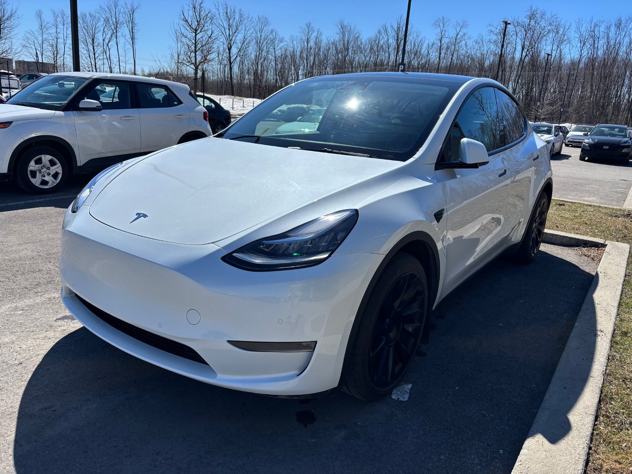 Tesla 2023 Model Y Long Range Dual